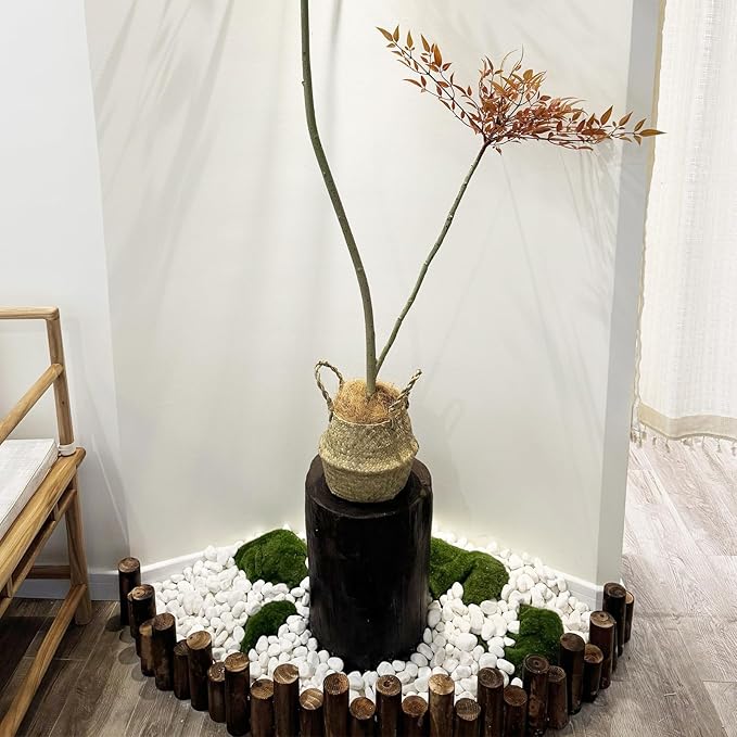 10 lbs White Gravel for Landscaping, 1-2 Inch Pebbles for Indoor Plants, Decorative River Rocks for Succulent, Vases, Aquariums, Crafting and Garden