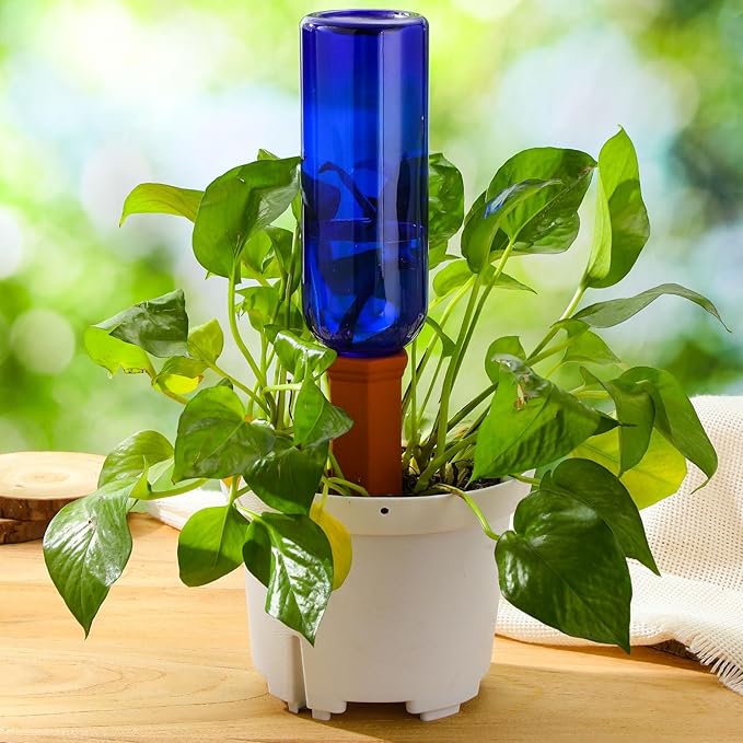 6 Sets Plant Watering Devices Include 6 Terracotta Self Watering Spikes and 6 Pcs 26 oz Plastic Bottles, Slow Release Vacation Insert Automatic Plant Waterer Device (Blue)