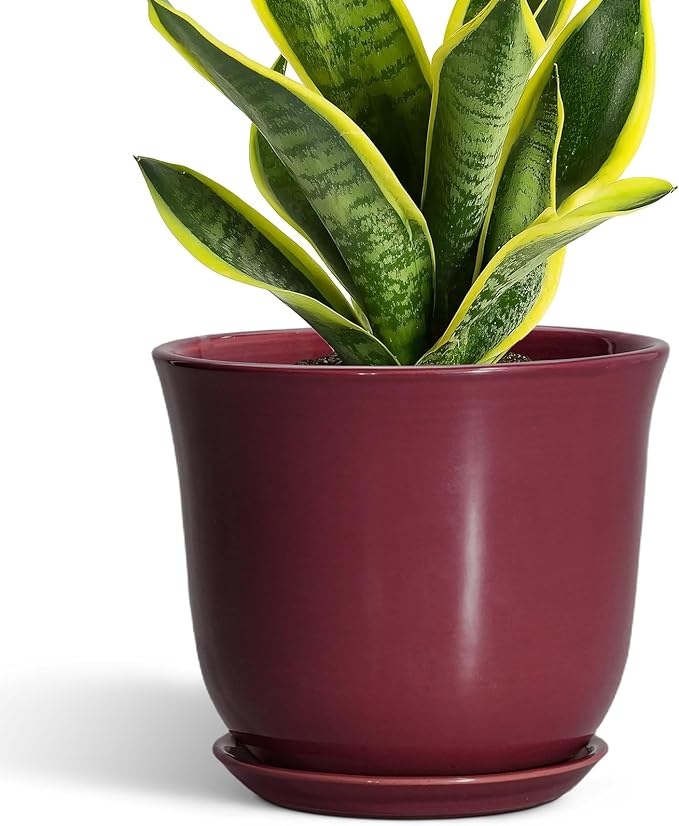 Ceramic Planter - 8 Inch Plant Pot with Drainage Hole and Saucer, Round Planter for Indoor Outdoor, Modern Flower Pots, Porch Garden Home Decor, Gifts for Plant Lovers, Red