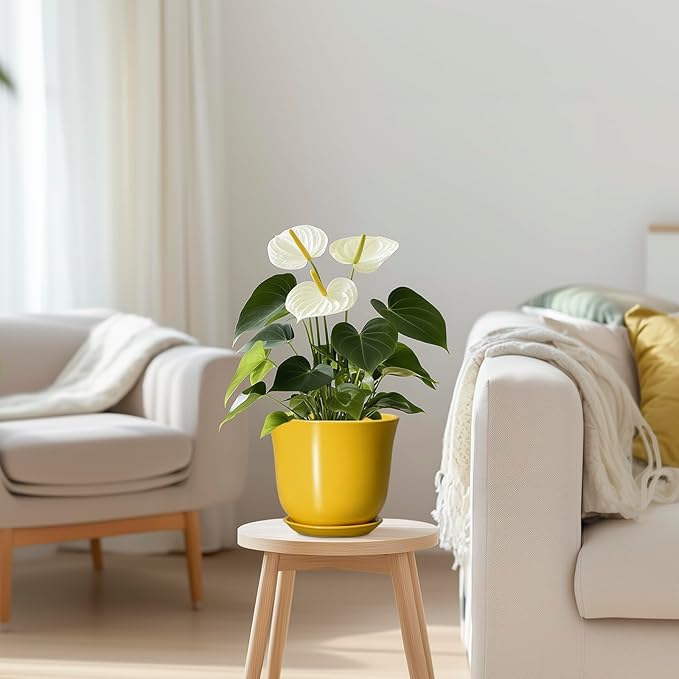 Ceramic Plant Pots - 5.6 Inch Planter with Drainage Hole and Saucer, Round Small Plant Pot for Indoor Outdoor, Modern Flower Succulent Orchid Pot, Desk Decor, Plant Lover Gifts, Yellow