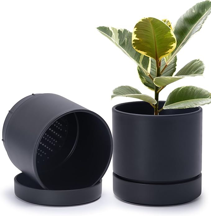 Phoenix Vine 8 Inch Planter Pot with Drainage Hole & Saucer, Deep Water Catch Tray, Straight Cylindrical Round Pot for Plants, Matte Black, Pack of 2, 23-C-T-2