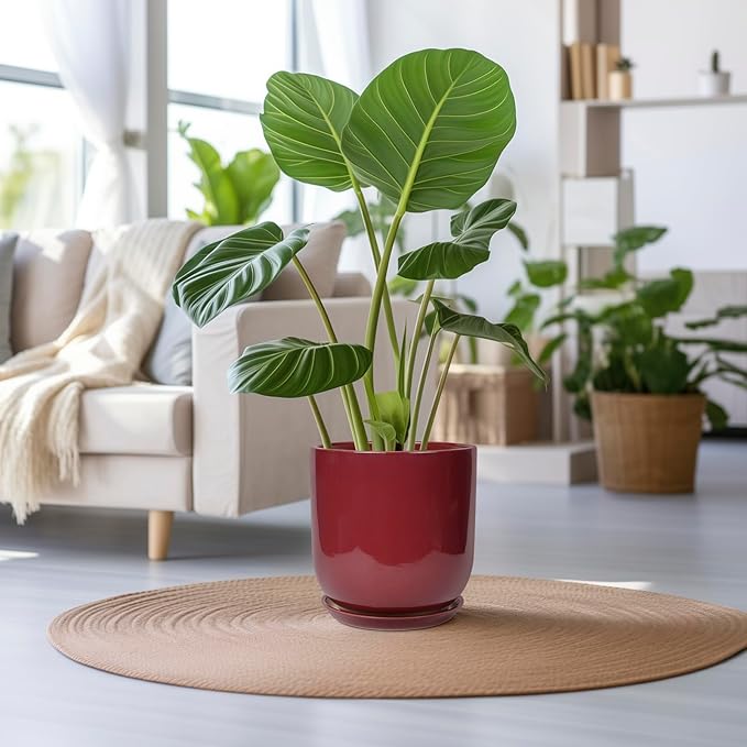 Ceramic Pots for Plants - 12 Inch Plant Pot Indoor with Drainage Hole and Saucer Large Planter Outdoor Flower Pot for Home Patio Office Decor Red