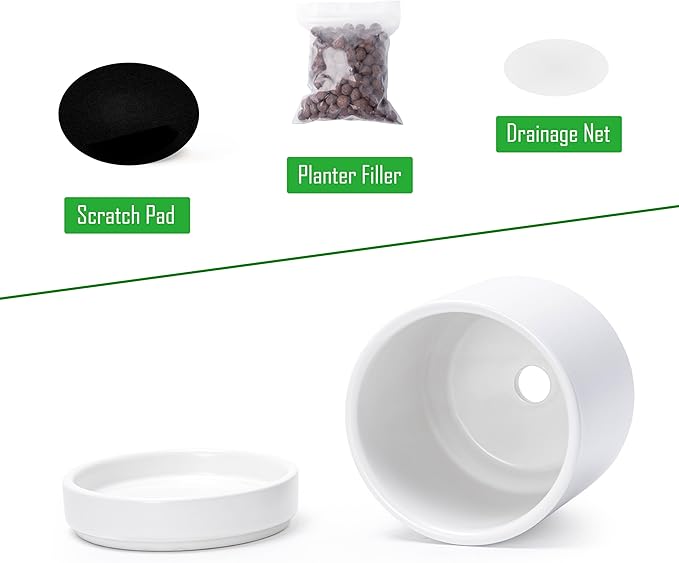 D'vine Dev Set of 3 Plants Pots, 3.5 Inch Ceramic Planter Pot for Plants with Drainage Hole and Saucer, White, 94-N-A-1