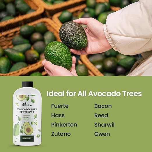 32oz Fruit Tree Fertilizer for Avocados - Makes 64 Gallons, Premium Water-Soluble Plant Food, Rich With Micronutrients for Consistent Lush Growth & Abundant Harvest