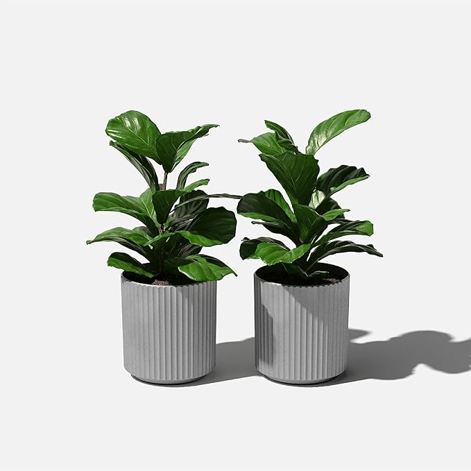 Veradek Demi Series Round Planter for Porch, Patio, Backyard | Durable Plastic-Stone Composite Material | Modern Décor for Tall Plants, Flowers