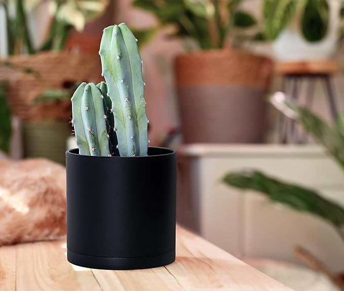 D'vine Dev 4 Pack 5.5 Inch Modern Plastic Plant Pots, Small Garden Planters for Plant with Drainage Holes and Saucers, Black Color, 74-Y-H-2