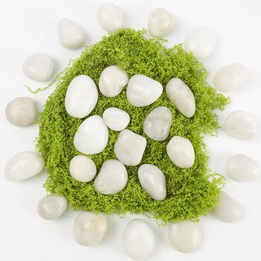 River Rocks - Natural Polished White Pebbles, 0.5-1 inch, 40 lbs - Perfect for Indoor Planting, Vase Filling, Aquarium Decoration, and Garden Landscaping (White, Weight: 40 LB)