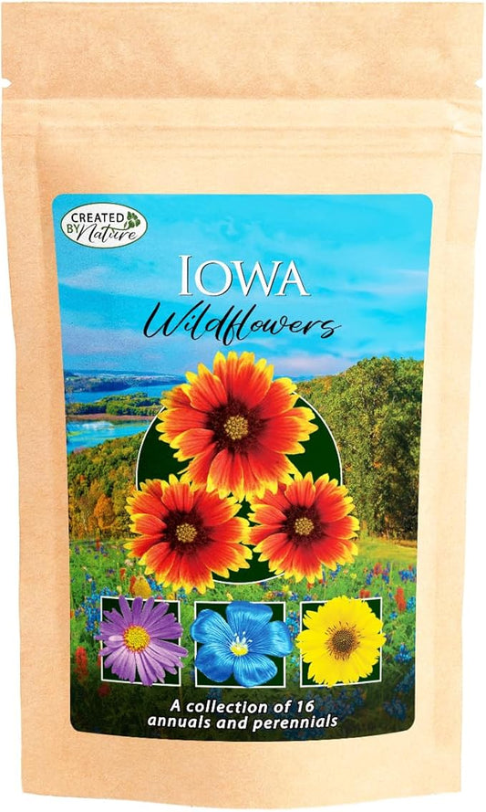 Created By Nature Iowa Wildflower Seed Mix, 16 Flower Varieties, 40,000 Seeds