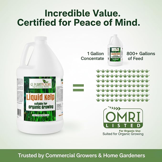 GS Plant Foods Liquid Kelp Fertilizer – Suitable for Organic Growing, OMRI Listed Seaweed Concentrate for Lawns, Gardens & Soil - 1 Gallon (Makes Up To 800+ Gallons)
