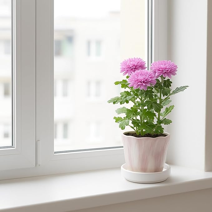 D'vine Dev Modern Round 3.7 Inch Ceramic Plant Pot Saucer, Planter Pot Drainage Tray for Indoor Plants, Matte White, 97-T-A-1