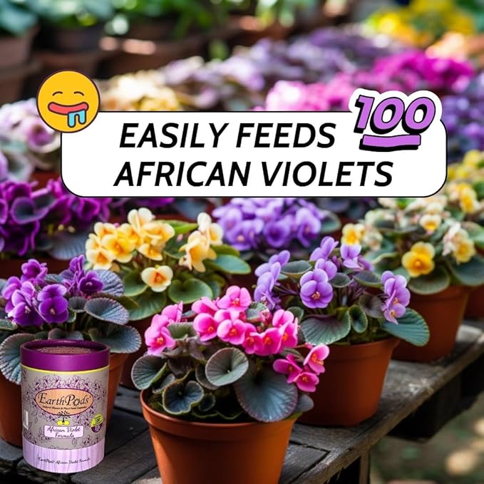 EarthPods® Organic African Violet Fertilizer Spikes – 100 African Violet Food Capsules - Made in USA