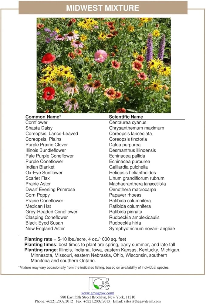 Regional Wildflower Seed Mix by GevaGrow (Midwest Wildflowers, Mini Shaker)