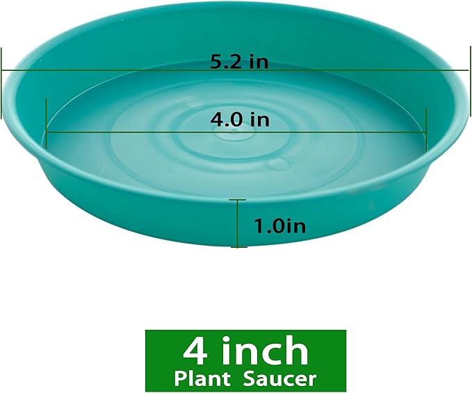 6 Pack Plastic Plant Saucer Water Drip Tray, 4 5 6 7 8 9 10 11 12 13 15 17 19 inch, Heavy Sturdy Plant Drainage Tray for Indoors Outdoor, Flower Saucers for Pots Base (4", Teal)