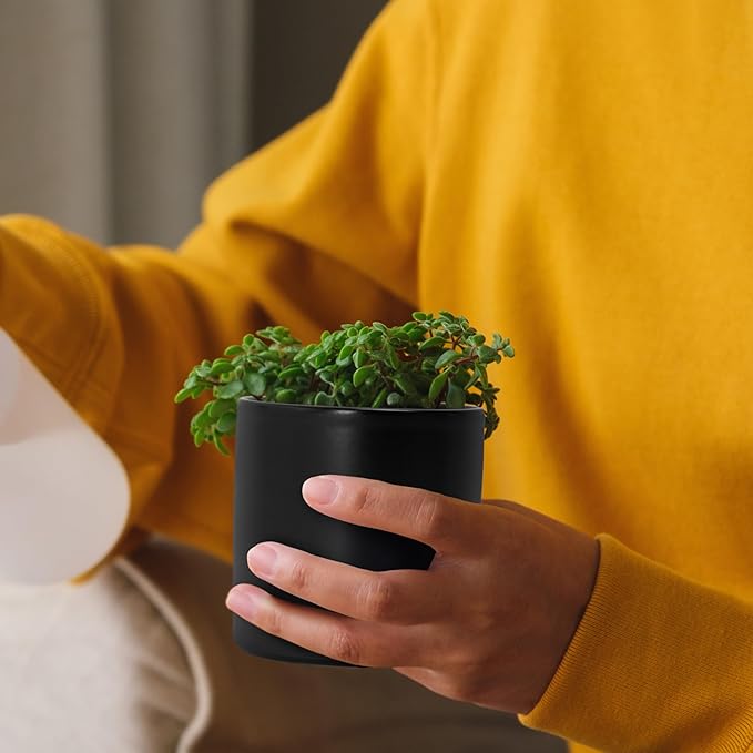 D'vine Dev Set of 3 Plants Pots, 3.5 Inch Ceramic Planter Pot for Plants with Drainage Hole and Saucer, Black, 94-N-A-2