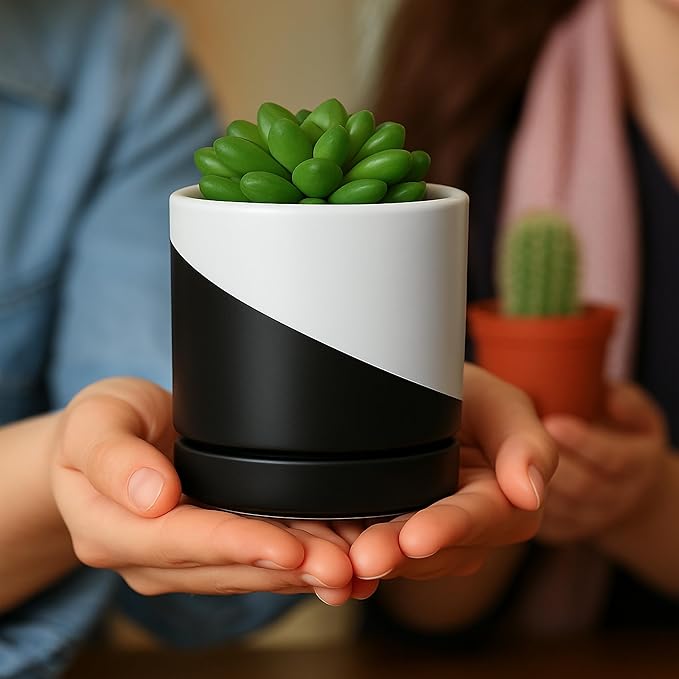 D'vine Dev 3.5 Inch Ceramic Planter Pot with Drainage Hole and Saucer, Indoor Cylinder Round Planter Pot, Oblique Monochrome Black and White, 94-O-A-K