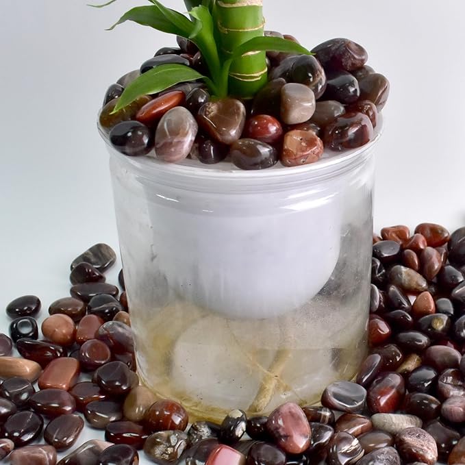 Polished Petrified Wood Crystals - 72 Pcs, 0.5" 10 oz Handpicked Natural Tumbled Gemstones Rocks, Pebbles for Reiki, Chakra, Healing Home Decor