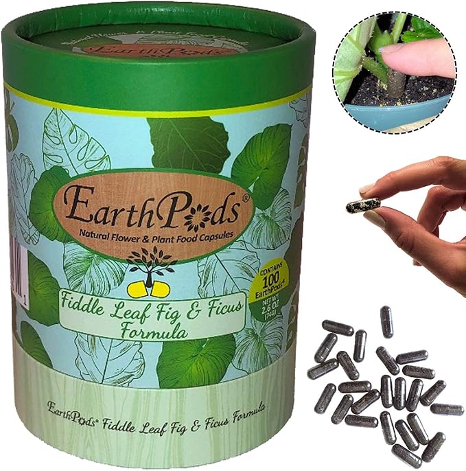 EarthPods® Fiddle Leaf Fig Fertilizer Spikes – 100 Organic Plant Food Capsules for Ficus, Monstera, Rubber Tree, Dracaena, Pothos, Calathea - Made in USA