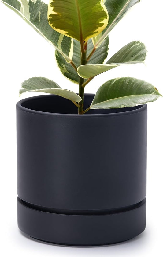 Phoenix Vine 8 Inch Planter Pot with Drainage Hole & Saucer, Deep Water Catch Tray, Straight Cylindrical Round Pot for Plants, Matte Black, Pack of 1, 23-C-T-1
