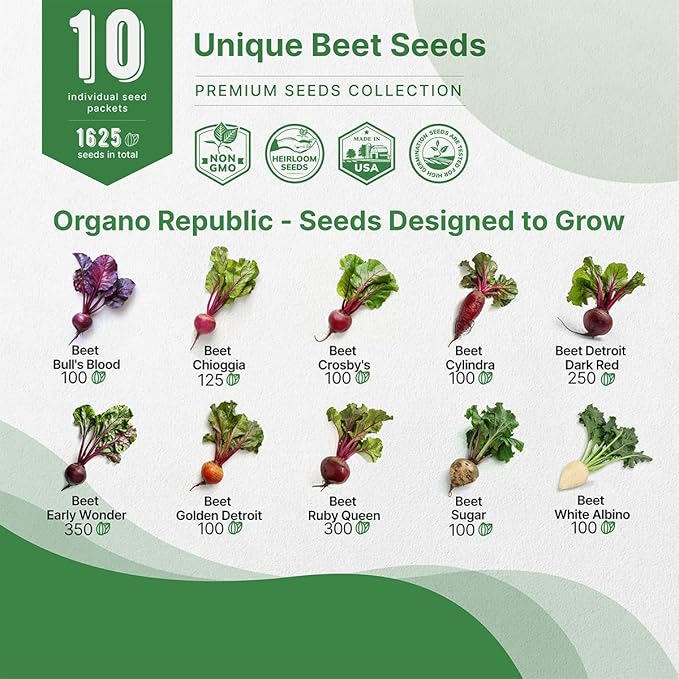 Organo Republic 10 Rare Beet Seeds Variety Pack for Planting Indoor & Outdoors 1625+ Heirloom Non-GMO Bulk Beets Gardening Seeds: Chioggia, Detroit Dark Red, Sugar, Cylindra, Bulls Blood, White Albino