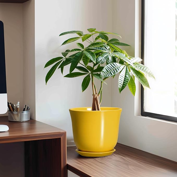 Ceramic Pots for Plants - 8 Inch Plant Pot for Indoor Outdoor, Round Planter with Drainage Hole and Tray, Decorative Flower Pot, Modern Planter, Home Patio Decor, House Warming Gift, Yellow