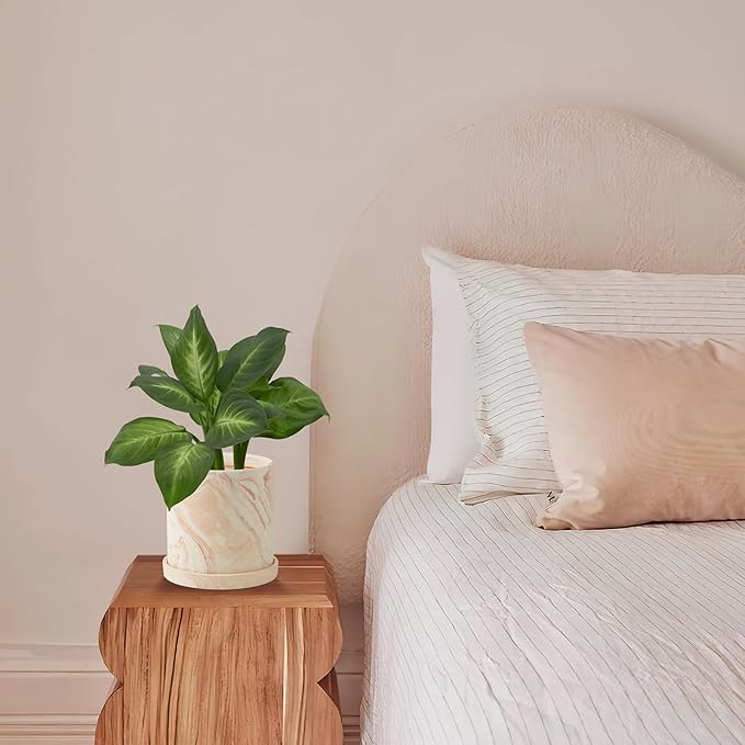 5 inch Plant Pot - Terra Cotta Flower Planters Indoor - Modern Succulents Containers with Drain Hole & Saucer, Decorate Home, Office & Outdoor (Pink)