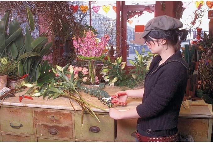 Felco F300 Pruning Snips – 7.5" Lightweight Garden Clippers for Picking & Trimming | Pruning Shears for Gardening | Garden Snips and Pruners with Stainless Steel Blade, Fine Tip, Spring-Loaded Action