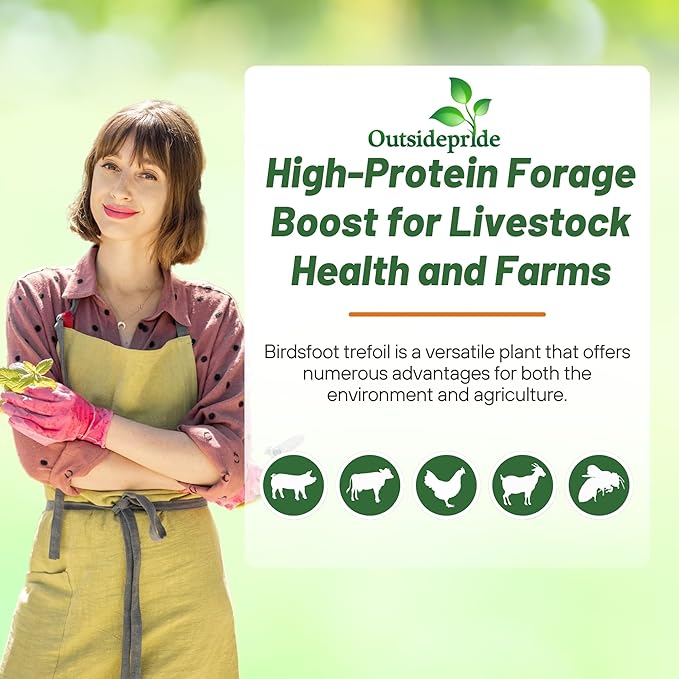 Outsidepride Perennial Birdsfoot Trefoil Seed - 1 lb Nitrocoated, Inoculated, Winter Hardy, High Protein Forage Legume Seeds for Pasture, Hay, Silage Production & Livestock Grazing