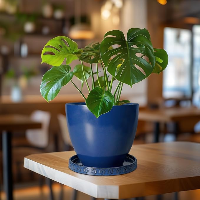 Plant Water Catcher Tray - Ceramic Plant Saucer for Outdoors 7.5 Inch Plant Pot Saucer Plant Drip Tray for Potted Plants Drainage Decorative Round Flower Pot Saucer Blue