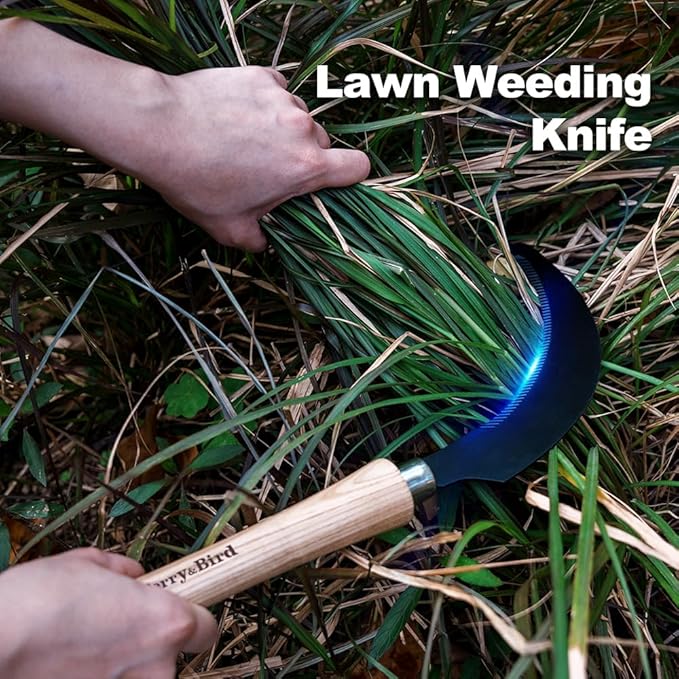 Berry&Bird Grass Sickle with Sawtooth, Heavy Duty SK5 Carbon Steel Blade Sickle Knife Scythe Garden Tool, Brush Clearing Sickle Weeding & Harvesting Tool for Gardeners/Farmers - Ashwood Handle