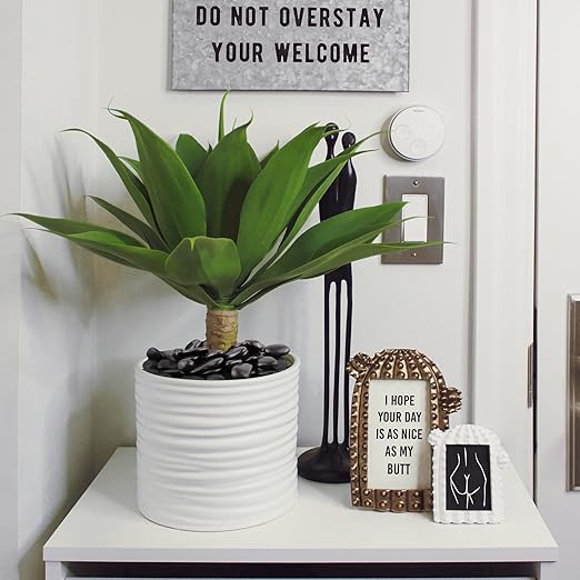 5lbs Black Pebbles for Indoor Plants, 1-2Inch Natural River Rocks for Aquarium, High Polished Decorative Stones for Vase Filler Fish Tank Landscaping Garden