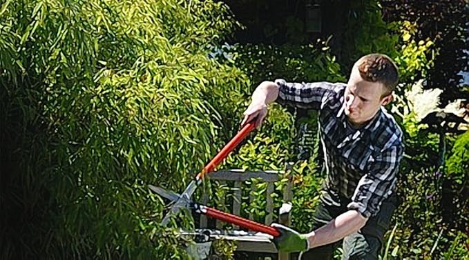 Berger vine leave shear 4440 with self-sharpening blades, hedge shear with damper, length 80 cm