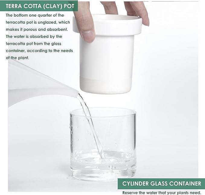 Phoenix Vine 4 Inch Self Watering Planter, White Terracotta Clay Pot with Glass Reservoir for Indoor Plants, Herbs, Flowers, Set of 2, 52-B-E-2