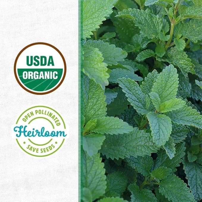 Wellness Grow Kit: Lemon Balm