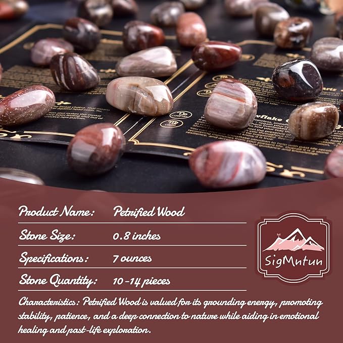 Polished Stone Set Petrified Wood Crystals, 0.8" Handpicked Tumbled Gemstones Rocks, Pebbles for Reiki, Chakra, Healing, Home Decor