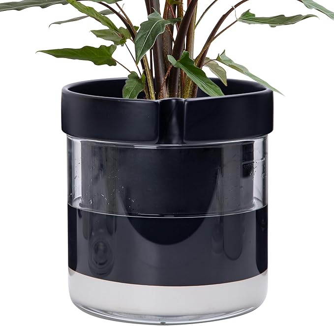 Phoenix Vine 8 Inch Self Watering Terracotta Planter, Black Terracotta Clay Pot with Glass Reservoir for Indoor Plants, Herbs, Flowers, Set of 1, 52-C-H-1