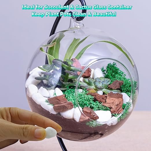 5 LB Natural White Gravel for Plants, Succulents & Cactus, Aquarium, Fish Tank, 0.6 inch Small White Pebbles for Vases, Rocks for Landscaping, Indoor Potted Plants, Garden and Home Decorative Stones