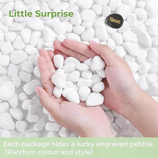SIDONG 10 LB White River Rocks, 0.4-1.2 Inches Matte Pebbles for Indoor Plants, Aquarium Rocks Used in Fish Tank, Decorative Stones for Plants, Vases, Home Décor, Crafting, Garden Landscaping