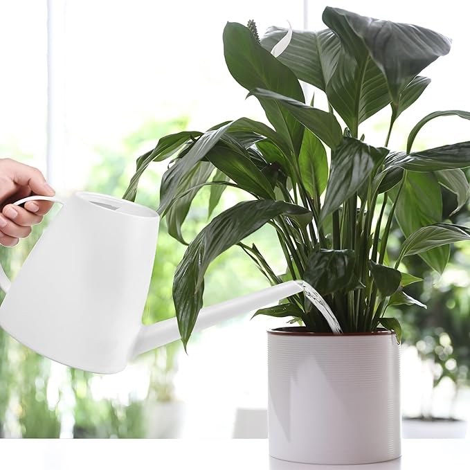 Plant Watering Can - for Home Plant Garden - 1/2 Gallon - White