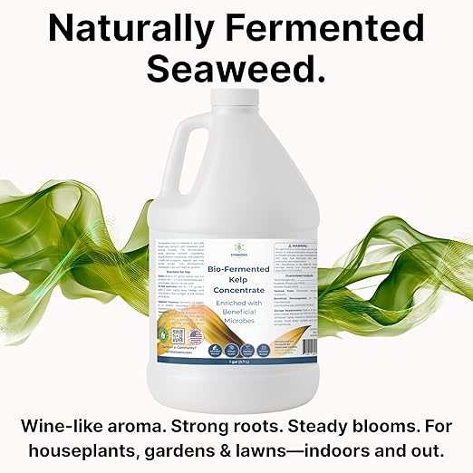 Liquid Seaweed Fertilizer for Plants with Soil Activator, Fermented Organic Liquid Kelp Fertilizer for Vegetables, Indoor and Outdoor Plants - Made in USA (1 Gallon)