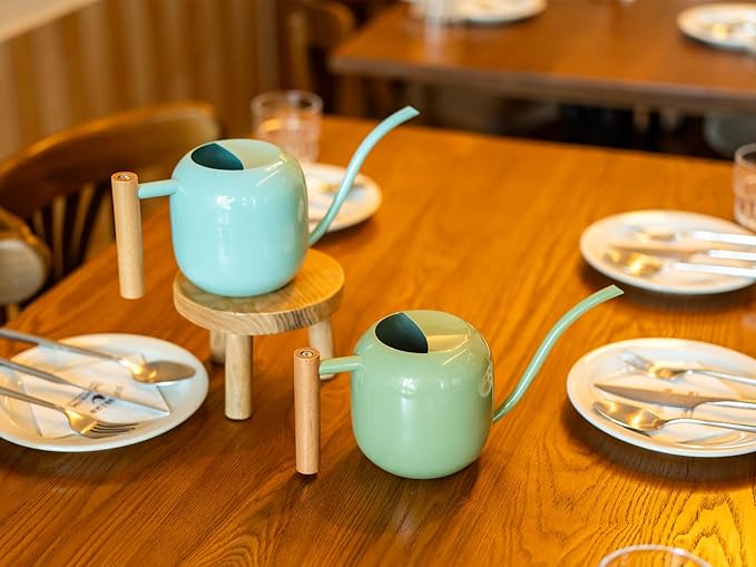 Green Moon Watering Can Indoor Plants 1.2L/41oz Sage Green Water Can Indoor Metal Small Water Can Pot with Long Spout for House Bonsai Plants Garden Flower Decorative