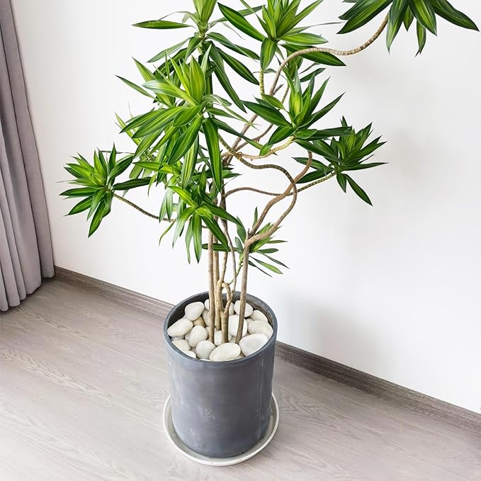 5 lbs White River Rocks, Polished Pebbles for Indoor Plants, 1-2 inch Decorative White Stones for Plants Vase Aquarium Fish Tank and Outdoor Garden Landscaping Rocks