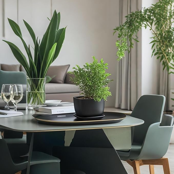 Square Plant Saucer 6 Inch 2 Pack，Plant Trays for Pots, Black Ceramic Plant Saucers for Indoors Outdoors, Plant Drip Tray 4 6 8 10 12 14 Inch