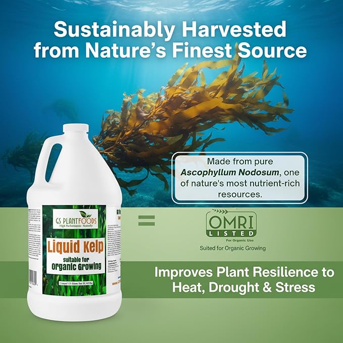 GS Plant Foods Liquid Kelp Fertilizer – Suitable for Organic Growing, OMRI Listed Seaweed Concentrate for Lawns, Gardens & Soil - 1 Gallon (Makes Up To 800+ Gallons)
