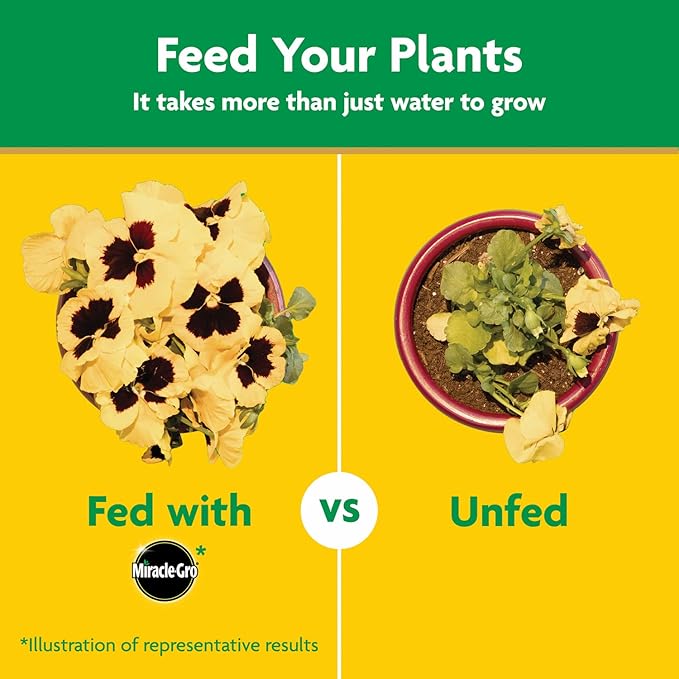 Miracle-Gro Water Soluble All Purpose Plant Food, Plant Fertilizer for Indoor or Outdoor Plants, Roses, Flowers, Houseplants, Vegetables and Trees, 10 lb.