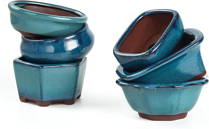 Bonsai Planter 6 pc Mini Glazed Succulent Pots Value Set + 6 Soft Mesh Drainage Screens
