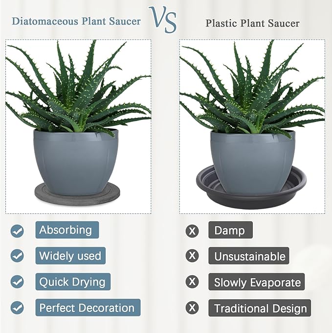 Plant Saucer Flower Pot Saucers Plant Trays for Pots Instant Dry Diatomaceous Earth Round Plant Drip Trays for Indoors Keeping Counter and Floors Dry and Clean (2Pcs Grey Small)