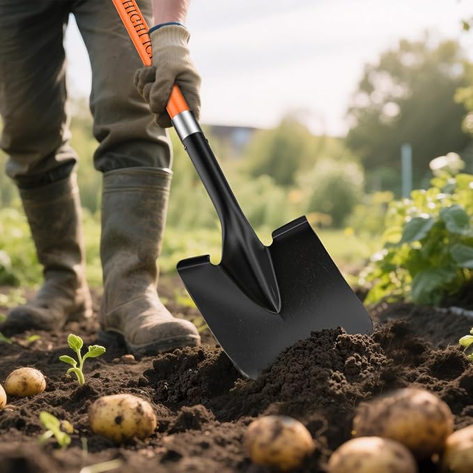 HIGHLIGHT Spade, Heavy Duty Gardening Shovel, Garden Shovel 56 inch for Digging, Round Shovel with D-Handle, for Garden,Beach, Snow, Fiberglass Handel, Orange