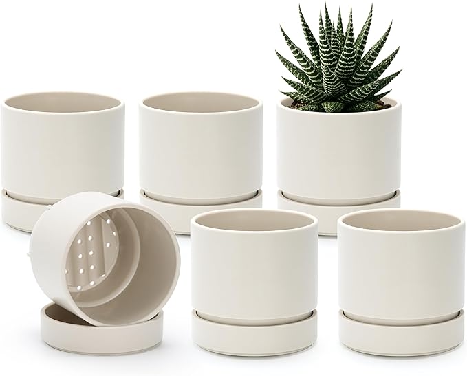 Phoenix Vine 4 Inch Planter Pot with Drainage Hole & Saucer, Deep Water Catch Tray, Straight Cylindrical Round Pot for Plants, Oatmeal, Pack of 6, 23-E-R-6