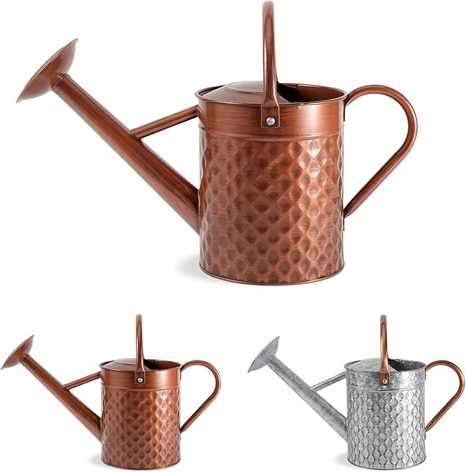 1 Gallon Metal Watering Can for Outdoor Indoor Plants, Copper Colored Watering Can with Removable Spray Spout, Ideal for Garden Watering
