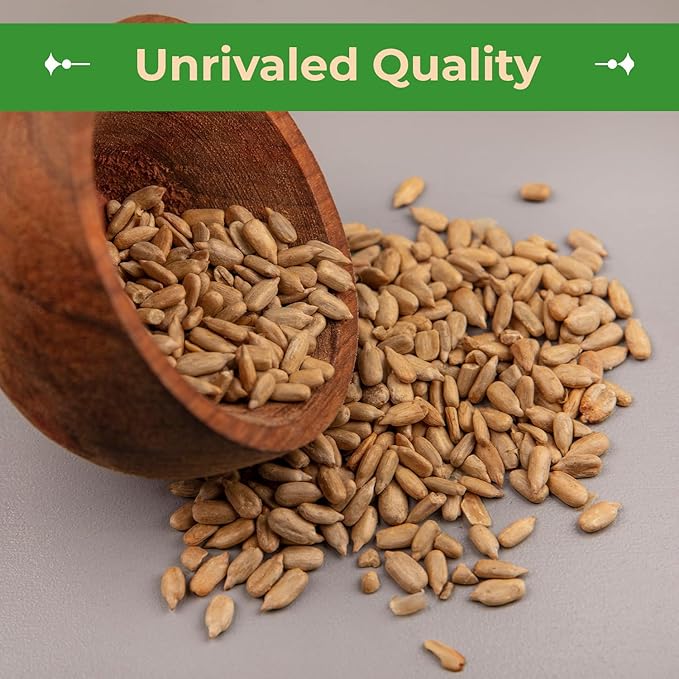 Sincerely Nuts Organic Sunflower Seed Kernels Raw (No Shell) (1lb bag) | Nutritious Antioxidant Rich Superfood Snack | Source of Protein, Fiber, Essential Vitamins & Minerals | Vegan and Gluten Free